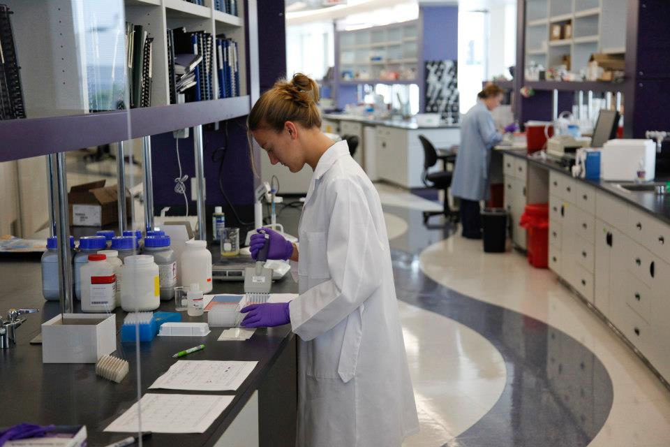 Researcher working with drug samples